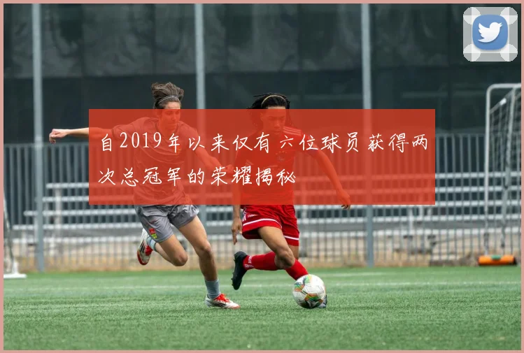 自2019年以来仅有六位球员获得两次总冠军的荣耀揭秘